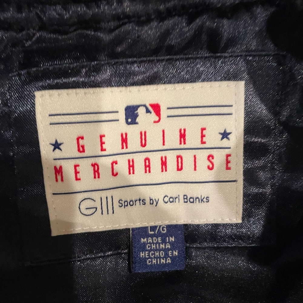 Detroit Tigers jacket size large - Picture 2 of 4